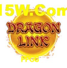 Premium Interface PPGG77